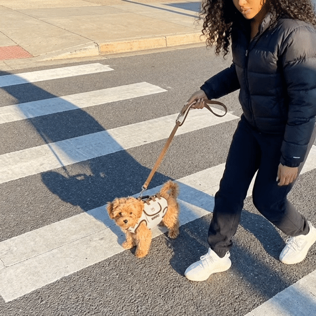Birkt Snug Sling — Hands-Free Dog Carrier